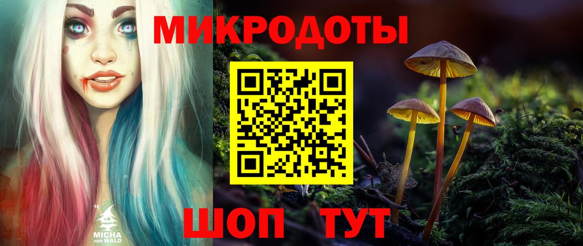Галлюциногенные грибы GOLDEN TEACHER Карачаевск