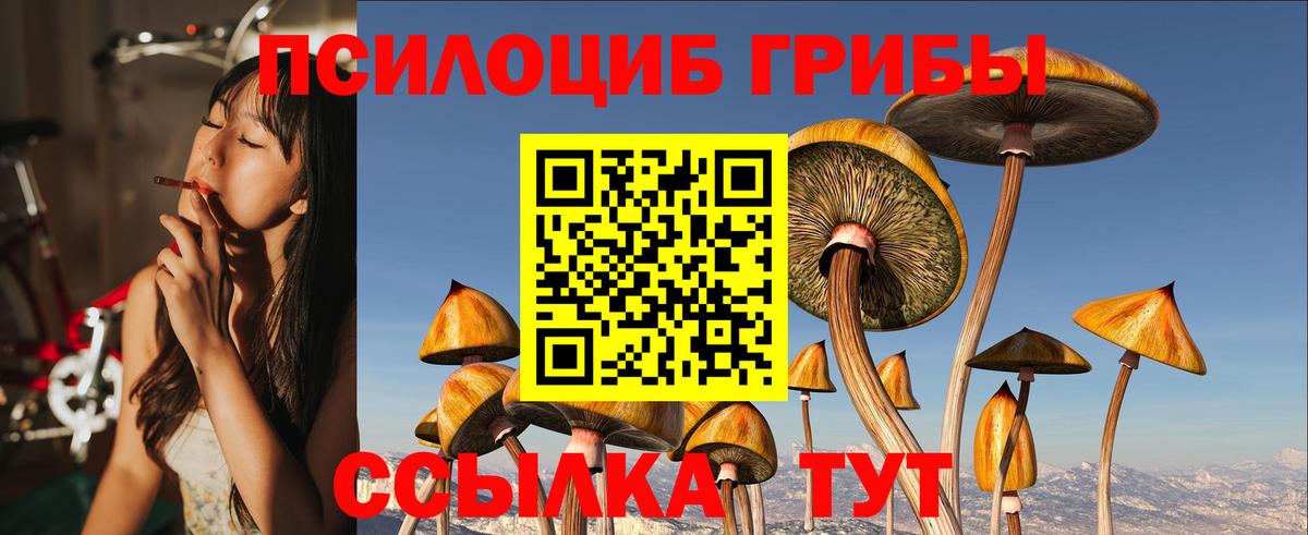 Галлюциногенные грибы GOLDEN TEACHER  Вход с VPN  Галлюциногенные грибы Cubensis  Карачаевск 