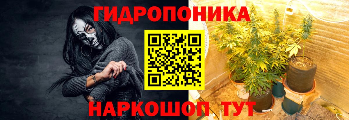 Бошки марихуана White Widow  Шишки марихуана планчик  Карачаевск  Вход с VPN  Марихуана план 